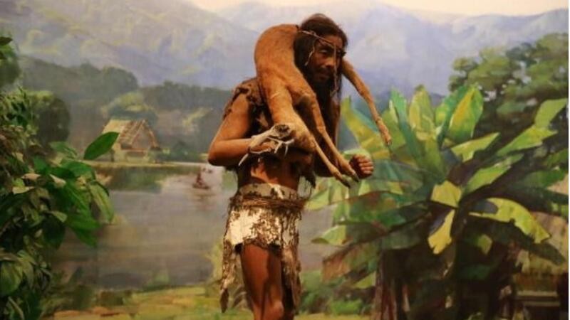 原始人的生活是什么样