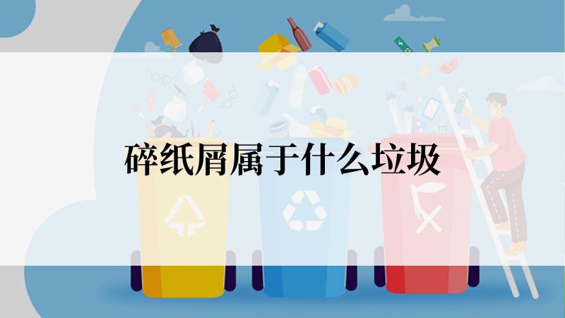 碎纸屑属于什么垃圾
