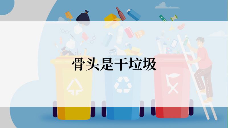 骨头是干垃圾