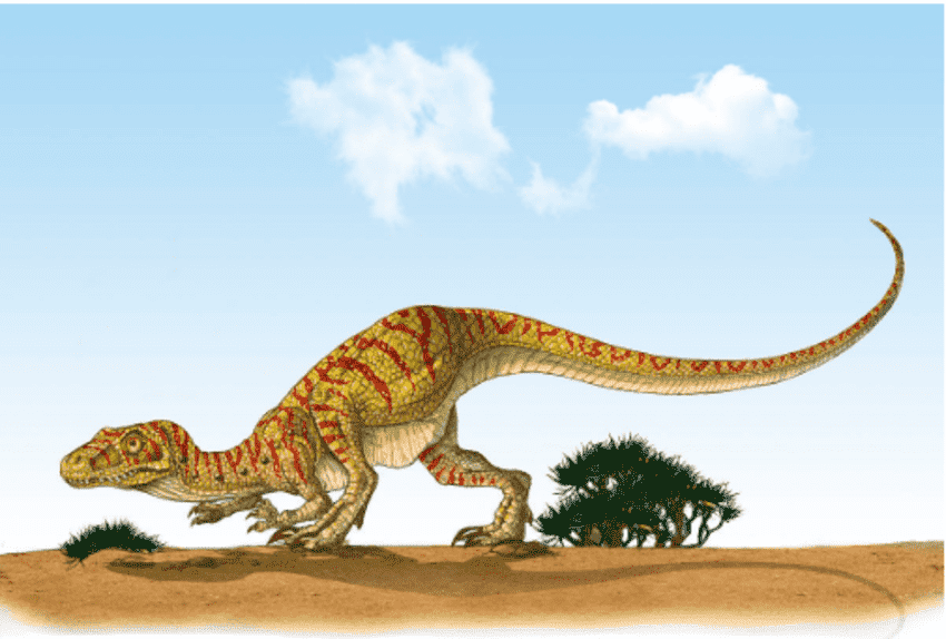 食草性的恐龙能够吃的食物和它们的身高有很大关系,如果是比较矮小的