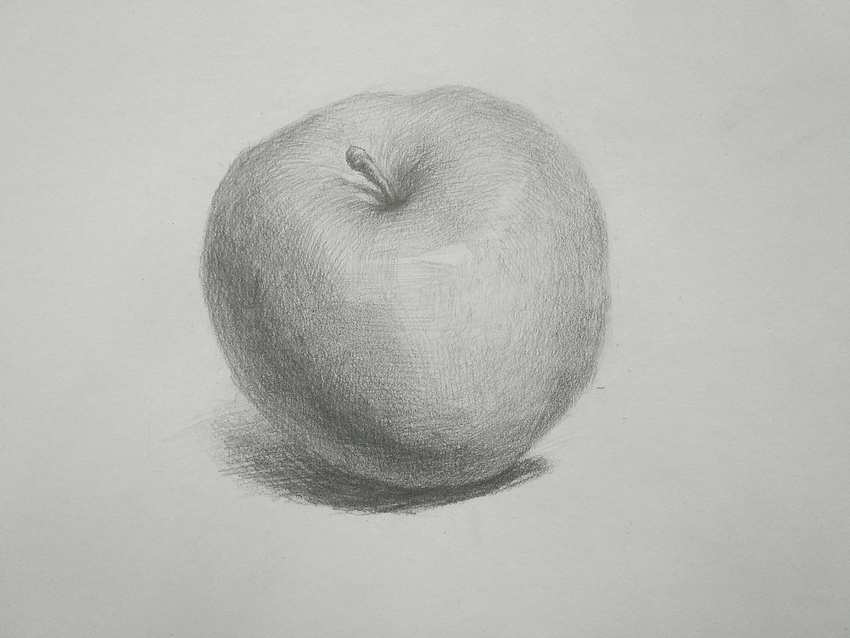 画画初学者应该画什么
