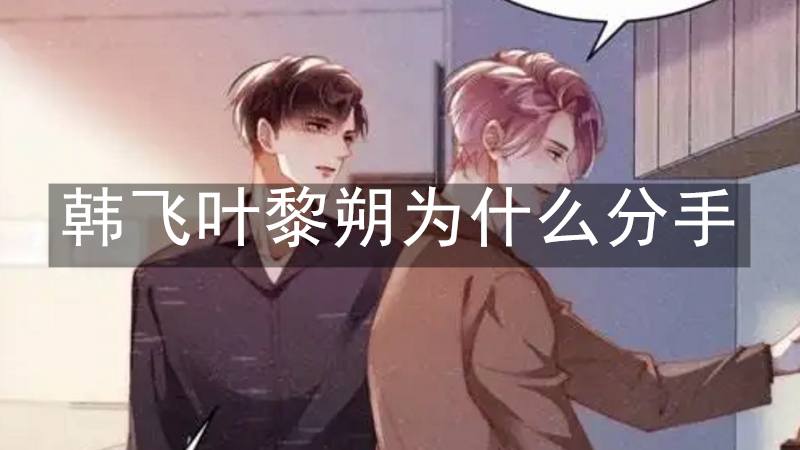 韩飞叶黎朔为什么分手