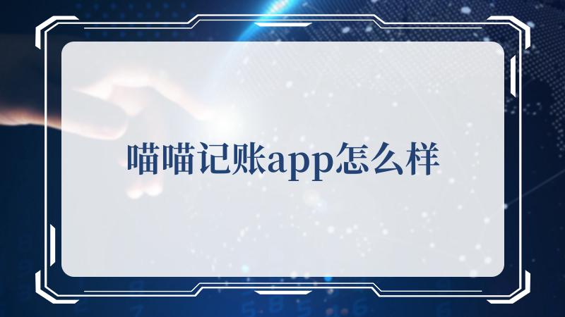 喵喵记账app怎么样(里的喵喵为什么会说人话)