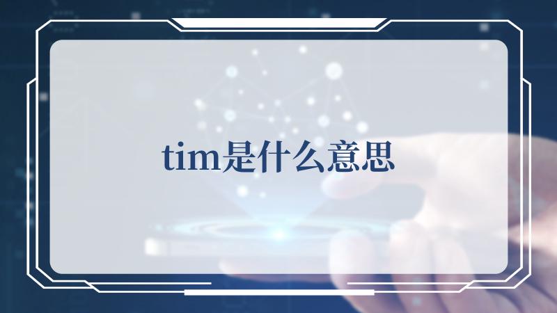 tim是什么意思