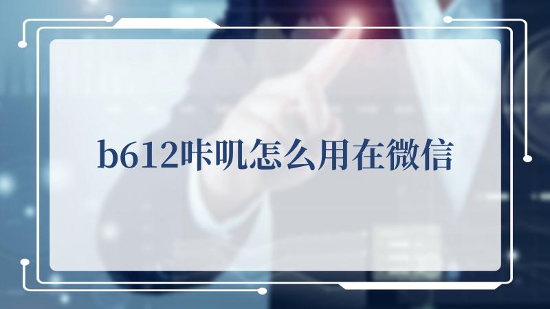 b612咔叽怎么用在微信