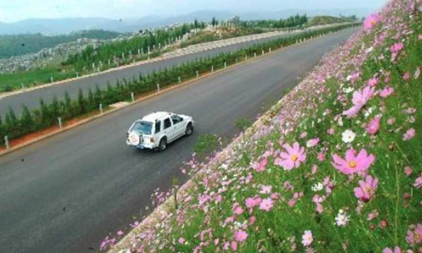 一条没有鲜花的道路什么意思 发条视频