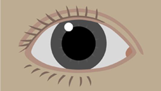 ۺЦ۵