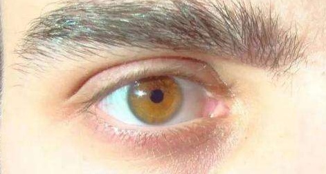 琥珀色眼睛 正常图片