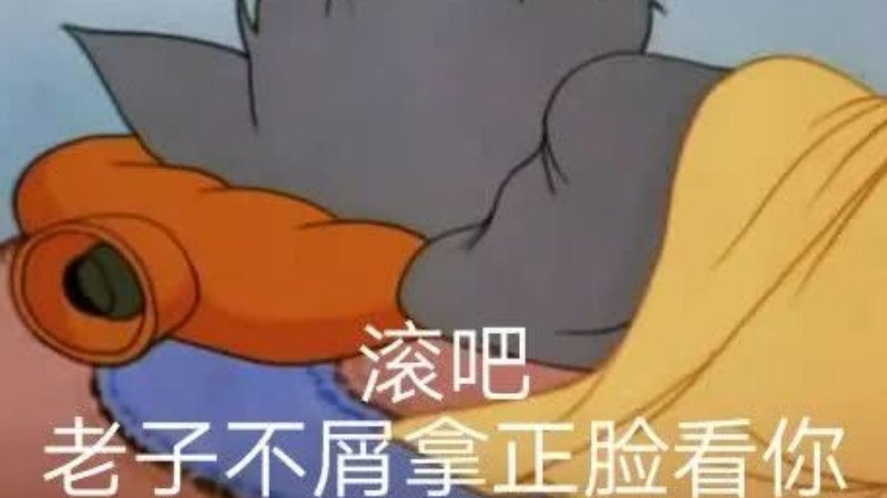 "太屑了"指的是一种不屑一顾的神情和语气,可以说"你太屑了",表达的是