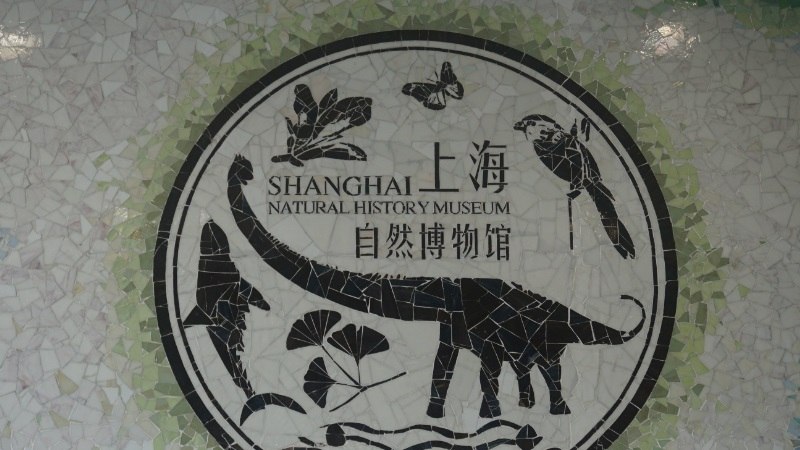 上海自然博物馆开放时间