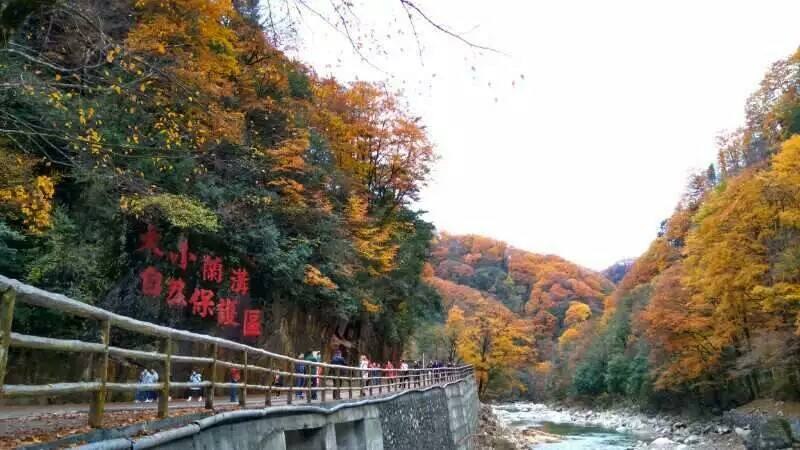 光雾山有几个风景区