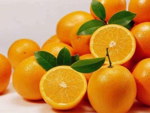 orange是橘子还是橙子