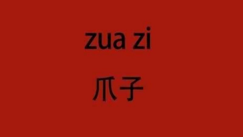 四川話爪子是什麼意思