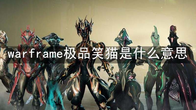 warframe极品笑猫是什么意思 Warframe:-编程知识网