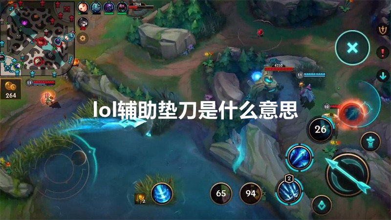 lol辅助垫刀是什么意思 LOL新手适合玩什么英雄-编程知识网