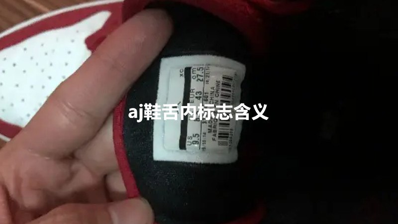 aj1鞋舌标志不一样图片