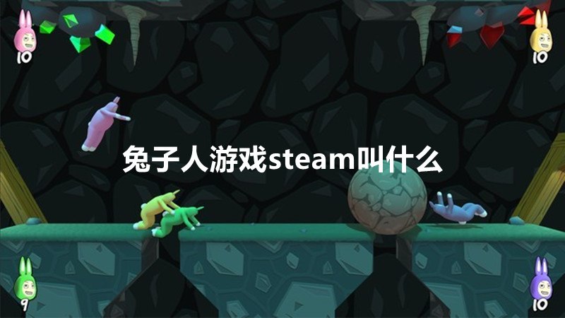 兔子人游戏steam叫什么-冯金伟博客园