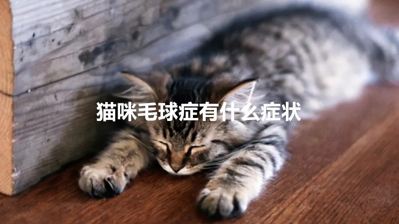 猫咪毛球症有什么症状